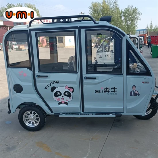 Scooter Electricos Adult 3 Wheel Tricycle Enclosed Cheap Adult Electric Tricycle Passenger Seat L6e Certificate