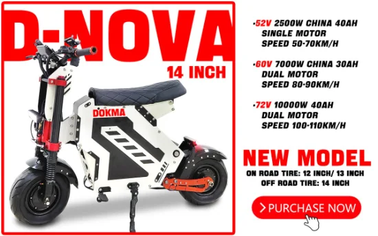 Dokma 13 Inch on-Road Tire 52V 2500W Cheap Price OEM Electric Scooter for Adult