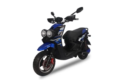 1000W Powerful Adult Electric Motorcycle Bicycle /Electric Scooter/Electrical Motorcycle Scooter (BWS)